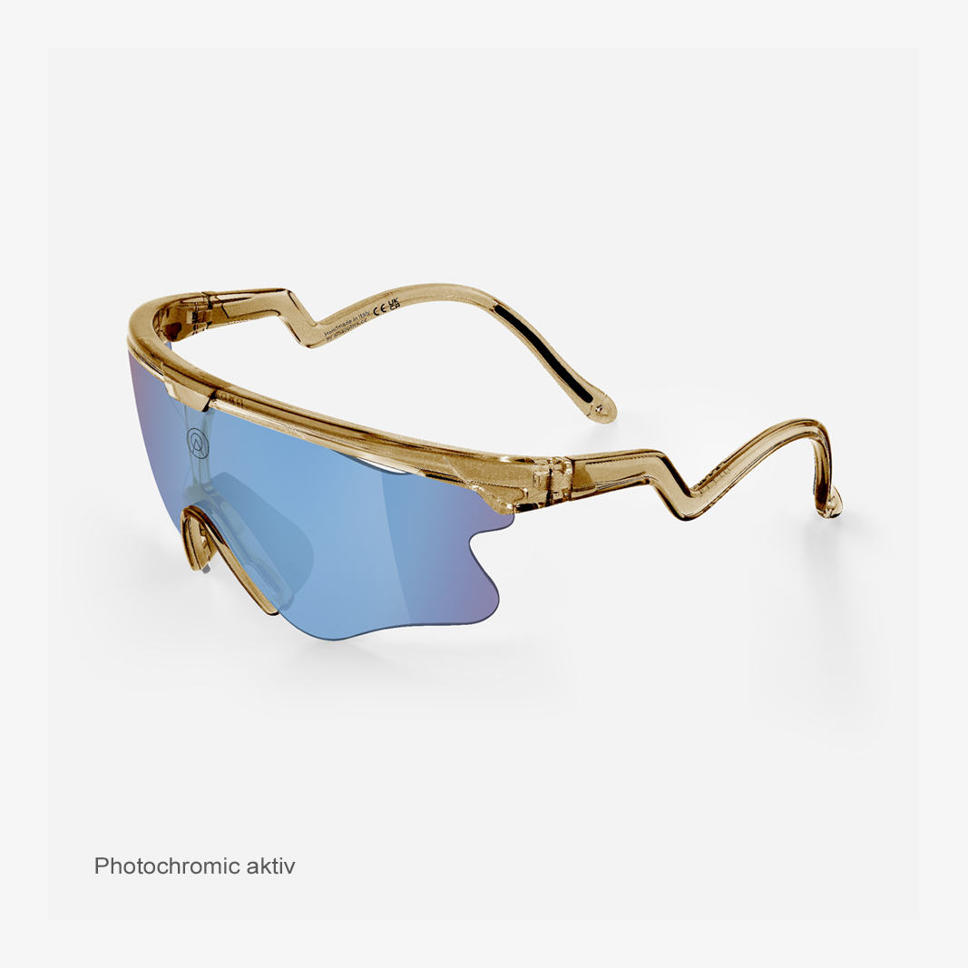 Alba Optics Delta LEI Smoke Glossy / VZUM™ F-Lens FLM Photochromic activ