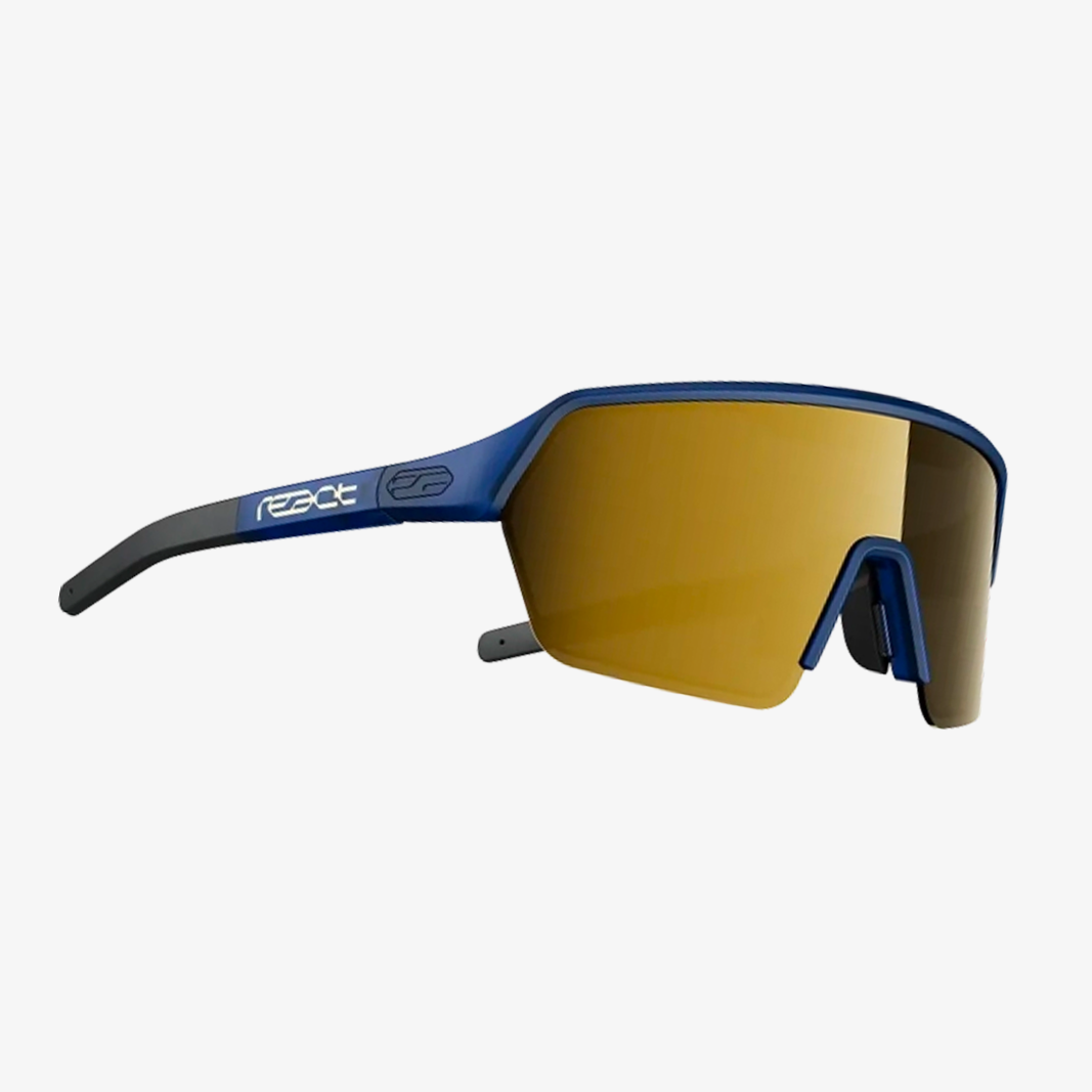 React Swiss / ERVO BLUE Gold main